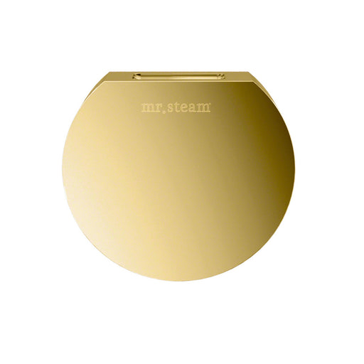 Aroma Designer 3 in. W. Steamhead with AromaTherapy Reservoir in Round Polished Brass