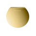 Aroma Designer 3 in. W. Steamhead with AromaTherapy Reservoir in Round Polished Brass