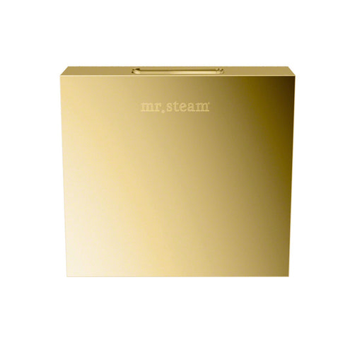 Aroma Designer 3 in. W. Steamhead with AromaTherapy Reservoir in Square Polished Brass