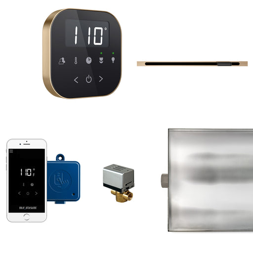 AirButler Linear Steam Shower Control Package with AirTempo Control and Linear SteamHead in Black Brushed Bronze