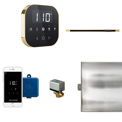 AirButler Linear Steam Shower Control Package with AirTempo Control and Linear SteamHead in Black Polished Brass