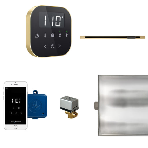 AirButler Linear Steam Shower Control Package with AirTempo Control and Linear SteamHead in Black Satin Brass