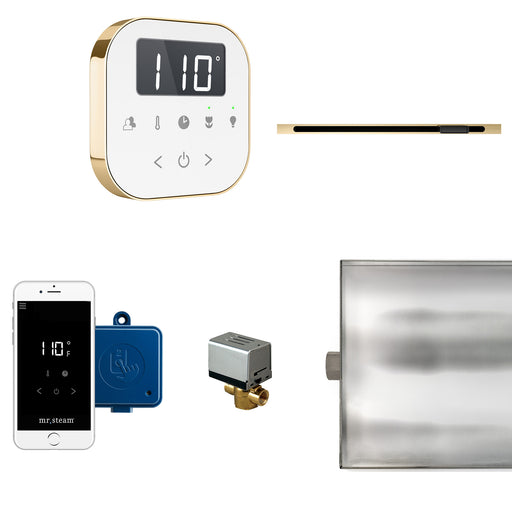 AirButler Linear Steam Shower Control Package with AirTempo Control and Linear SteamHead in White Polished Brass