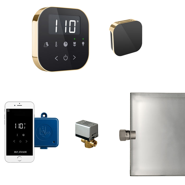 AirButler Steam Shower Control Package with AirTempo Control and Aroma Glass SteamHead in Black Polished Brass