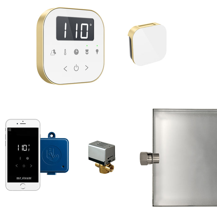 AirButler Steam Shower Control Package with AirTempo Control and Aroma Glass SteamHead in White Satin Brass