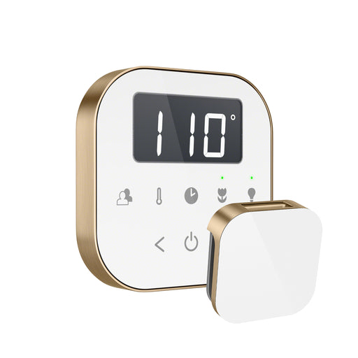 AirTempo Steam Shower Control and Aroma Glass SteamHead in White Brushed Bronze