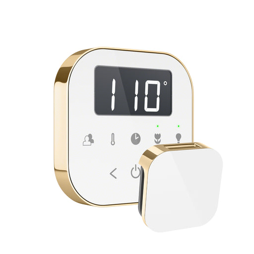 AirTempo Steam Shower Control and Aroma Glass SteamHead in White Polished Brass