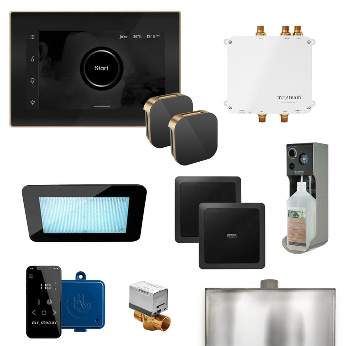 Bliss Max Programmable Steam Generator Control Kit with iSteamX Control and Aroma Glass Steamhead in Black Brushed Bronze