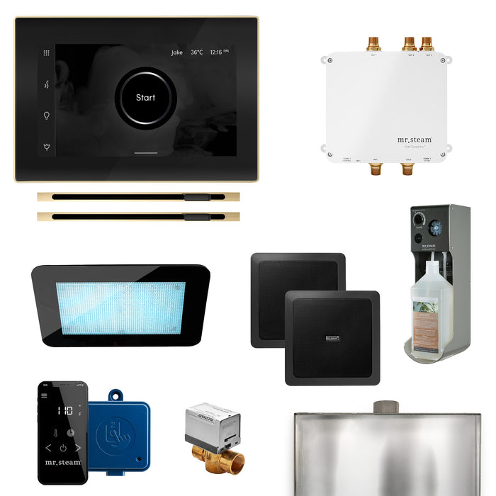 Bliss Max Linear Programmable Steam Generator Control Kit with iSteamX Control and Linear Steamhead in Black Polished Brass