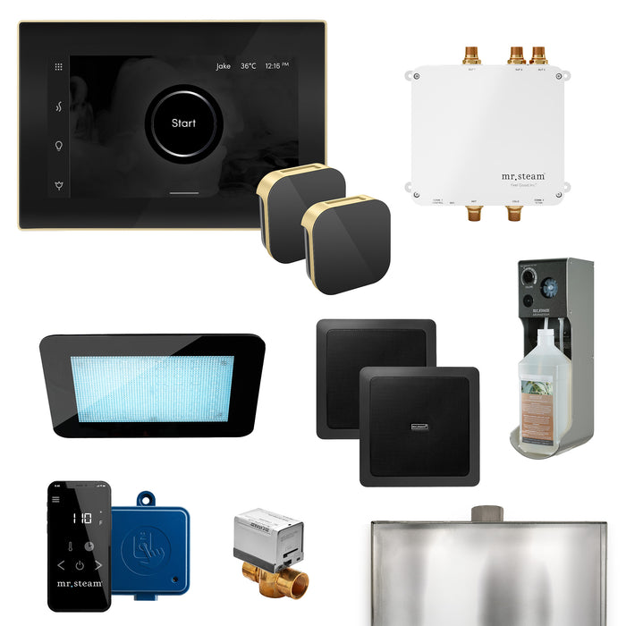 Bliss Max Programmable Steam Generator Control Kit with iSteamX Control and Aroma Glass Steamhead in Black Satin Brass