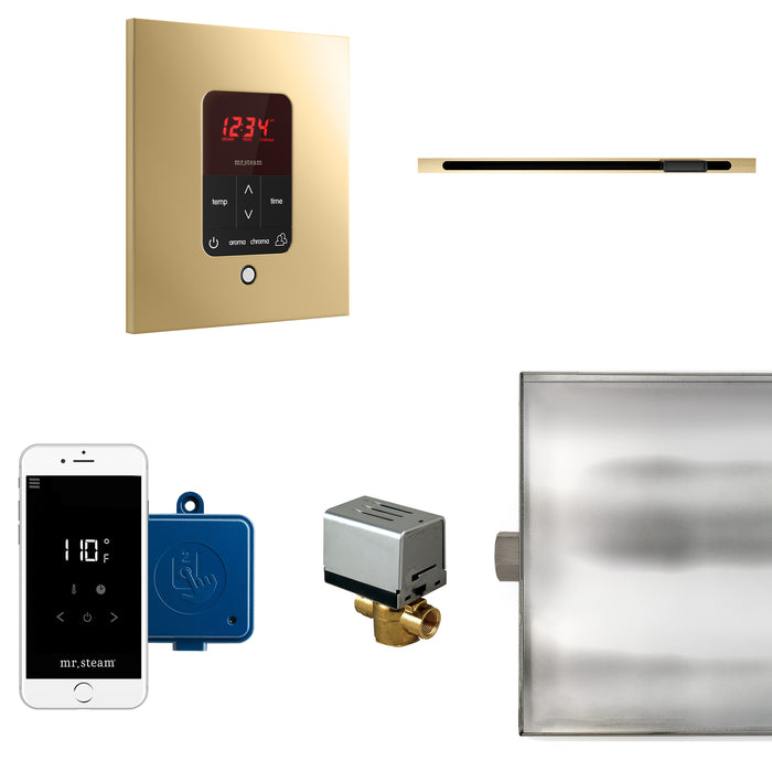 Butler Linear Steam Shower Control Package with iTempoPlus Control and Linear SteamHead in Square Polished Brass