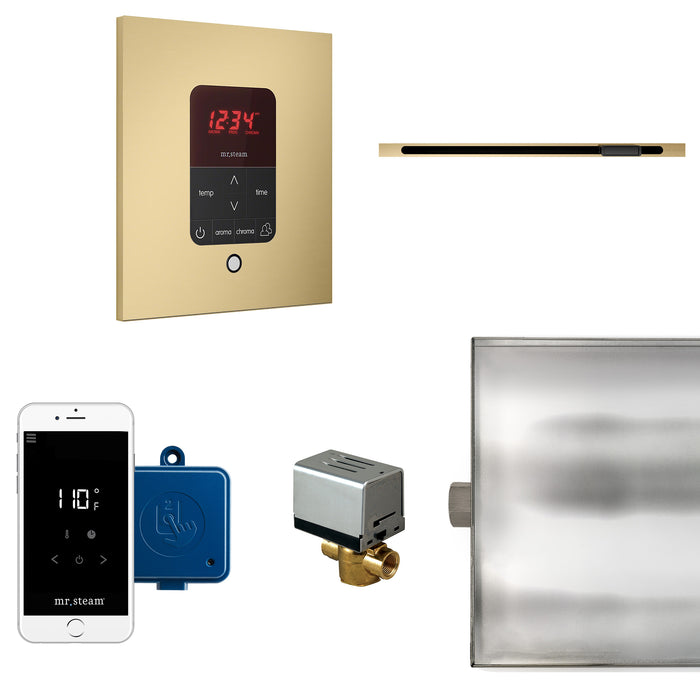 Butler Linear Steam Shower Control Package with iTempoPlus Control and Linear SteamHead in Square Satin Brass