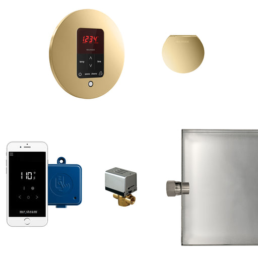 Butler Steam Shower Control Package with iTempoPlus Control and Aroma Designer SteamHead in Round Polished Brass