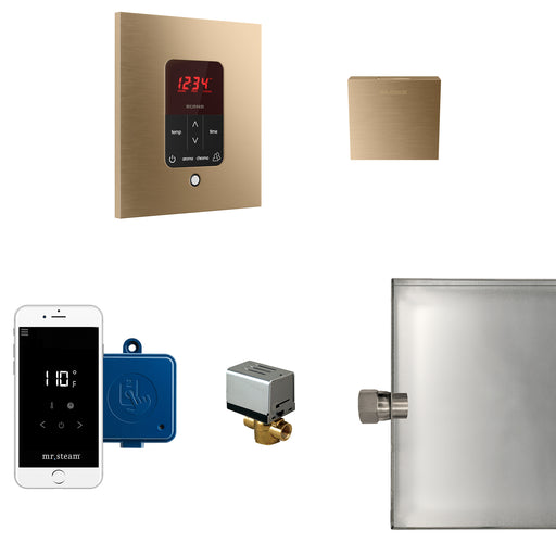 Butler Steam Shower Control Package with iTempoPlus Control and Aroma Designer SteamHead in Square Brushed Bronze