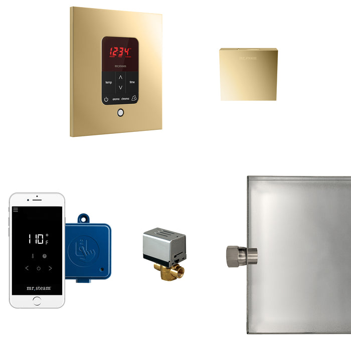 Butler Steam Shower Control Package with iTempoPlus Control and Aroma Designer SteamHead in Square Polished Brass