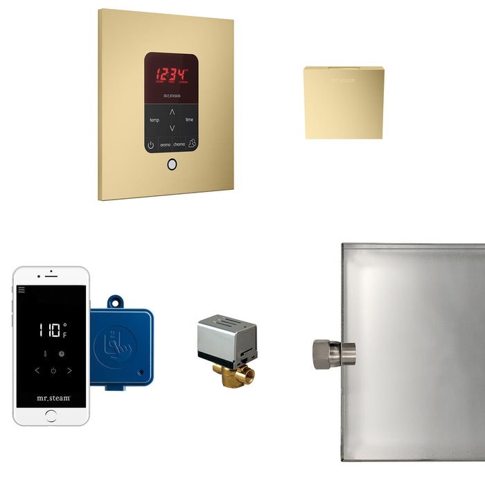 Butler Steam Shower Control Package with iTempoPlus Control and Aroma Designer SteamHead in Square Satin Brass