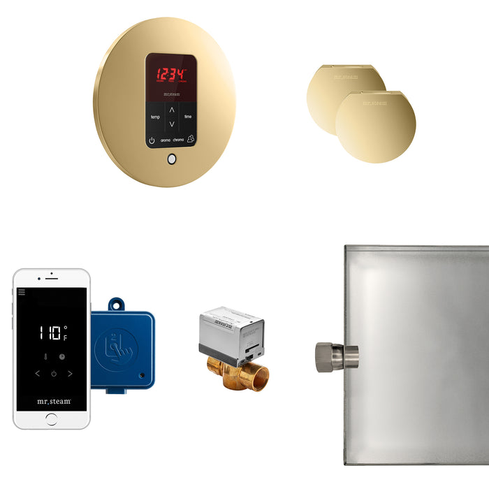 Butler Max Steam Shower Control Package with iTempoPlus Control and Aroma Designer SteamHead in Round Polished Brass