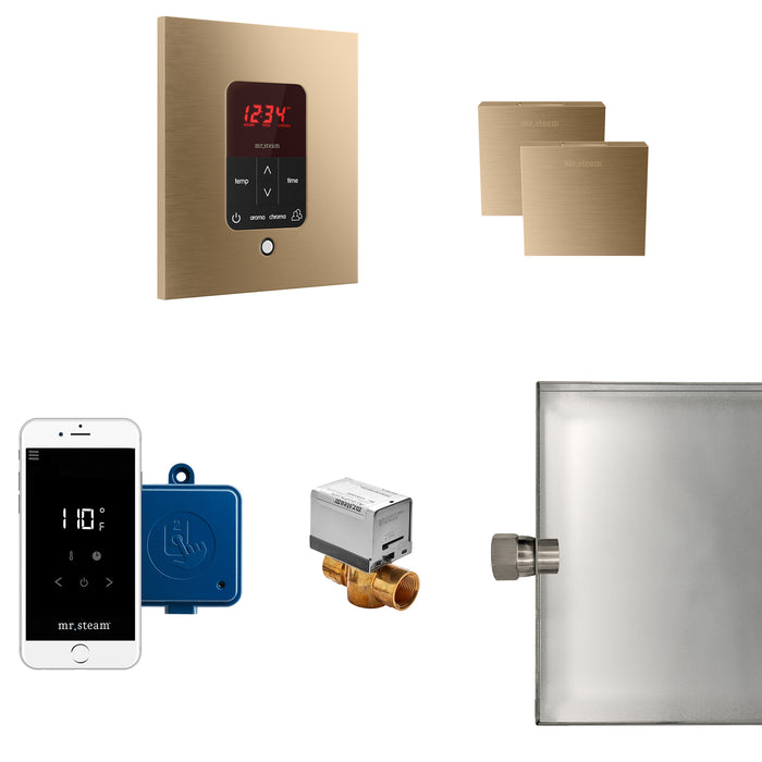 Butler Max Steam Shower Control Package with iTempoPlus Control and Aroma Designer SteamHead in Square Brushed Bronze