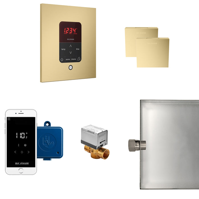 Butler Max Steam Shower Control Package with iTempoPlus Control and Aroma Designer SteamHead in Square Satin Brass