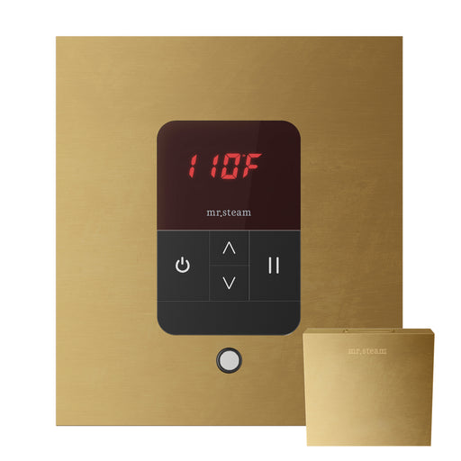 iTempo Steam Shower Control and Aroma Designer SteamHead in Square Custom Plated/Unfinished