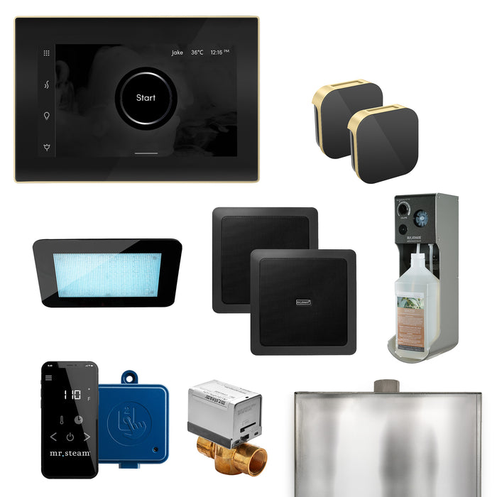 XDream Max Programmable Steam Generator Control Kit with iSteamX Control and Aroma Glass Steamhead in Black Satin Brass