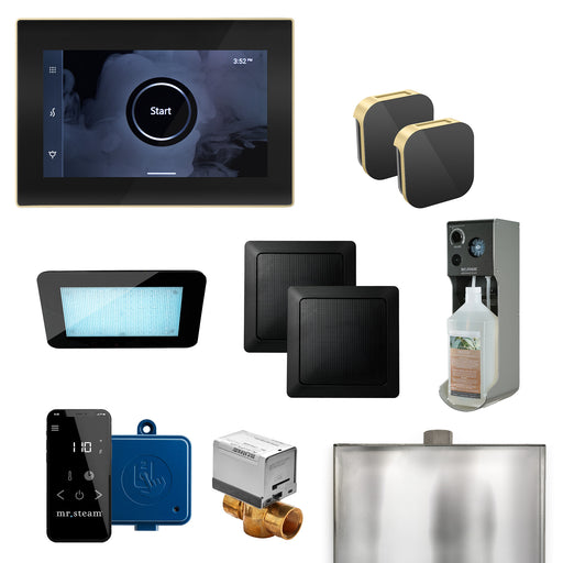 XDream Max Steam Shower Control Package with iSteamX Control and Aroma Glass SteamHead in Black Satin Brass