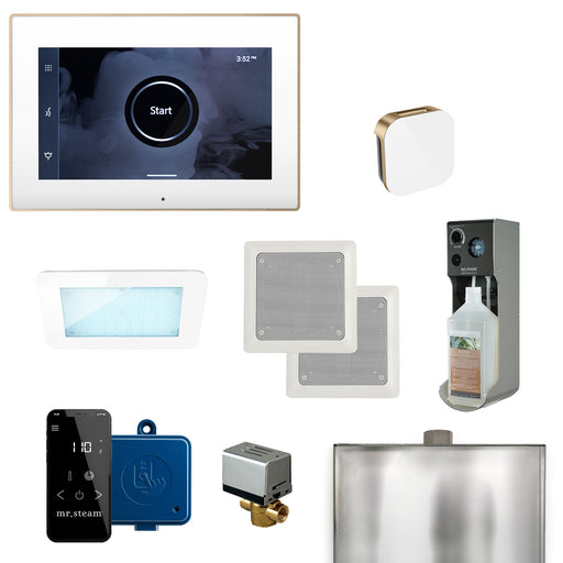 XDream Steam Shower Control Package with iSteamX Control and Aroma Glass SteamHead in White Brushed Bronze