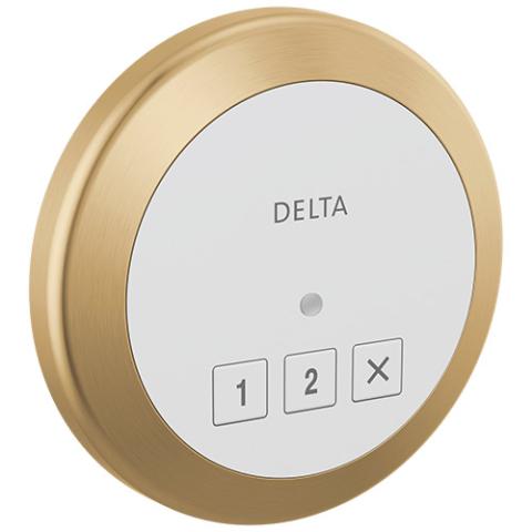 Delta Steamscape Round Control - 5CN-220R