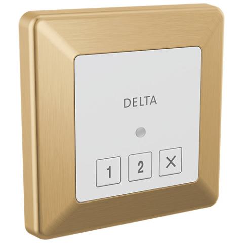 Delta Steamscape Square Control - 5CN-220T