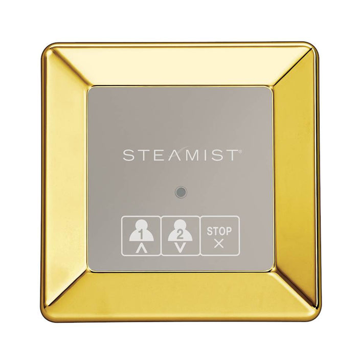 Steamist 220-PG On/Off Secondary Control Polished Gold