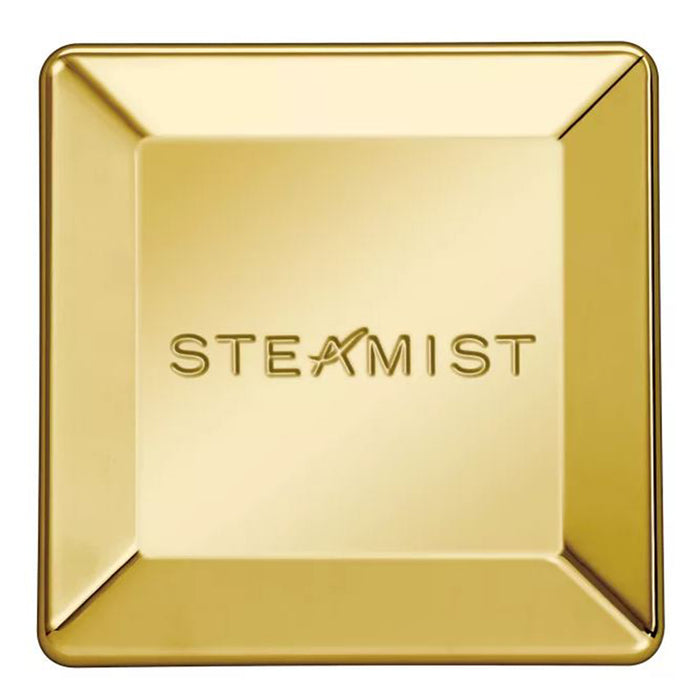 Steamist 3199 Steamhead Polished Bronze