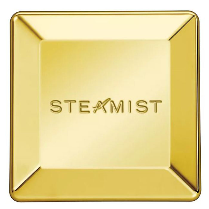 Steamist 3199 Steamhead Polished Gold